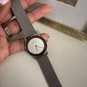 Skagen Meshband Ladies Watch